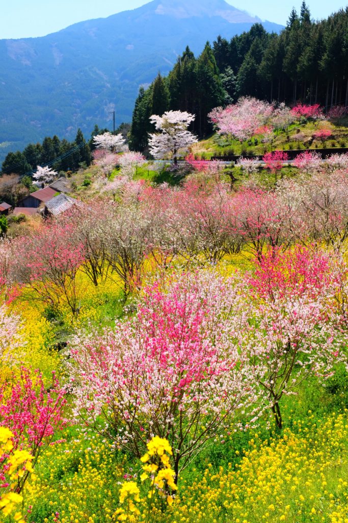 Printemps